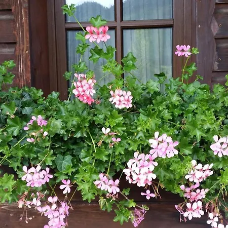 Weisser Hirsch Bed and breakfast Füssen