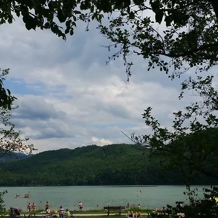 Weisser Hirsch Bed and breakfast