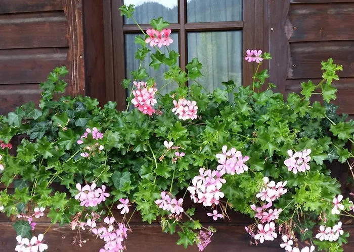 Weisser Hirsch Bed & Breakfast Füssen