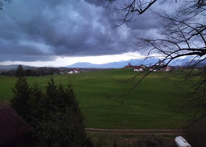 Weisser Hirsch 福森