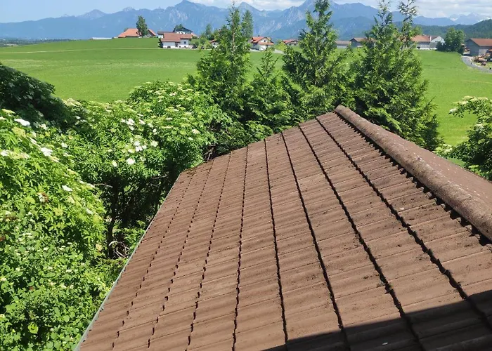 Bed & Breakfast Weisser Hirsch 3*